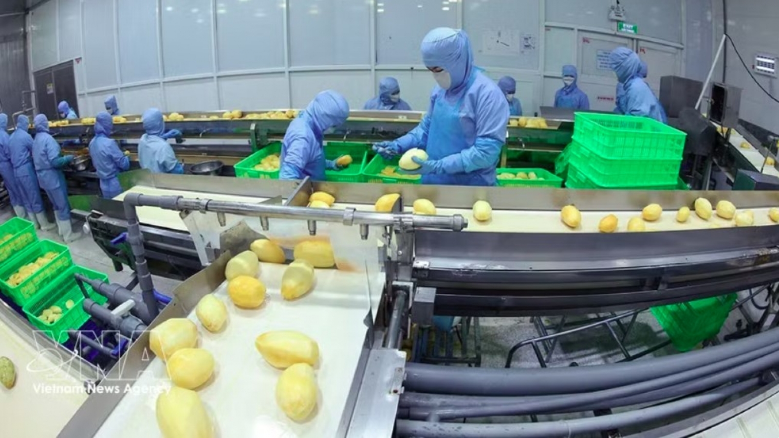 Agricultural exports seek to overcome technical barriers through digitalisation